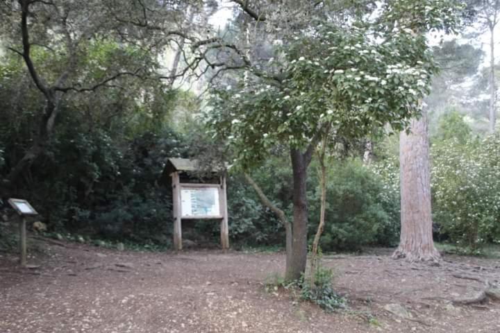 Polinya de XuquerCasa Rural Ca Xeloアパートメント エクステリア 写真
